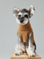 Pet Sweater Vest – Toffee Orange | Cozy Knit Warmth for Dogs & Cats