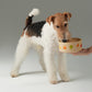 Dog holding a colorful pet bowl with a neutral background