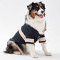 Dog wearing a sweater on a white background