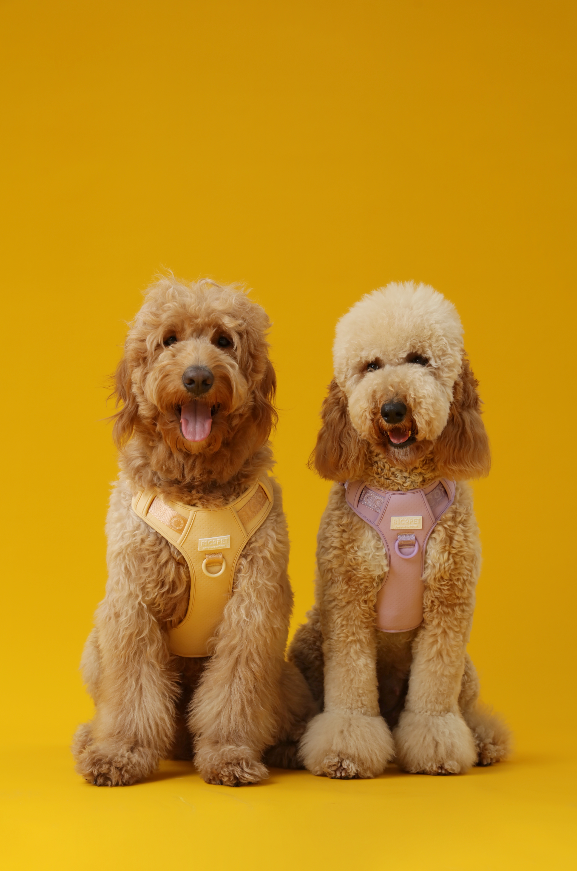 No Pull Active Pet Harness – Apricot | Adjustable, Breathable & Secure Control Harness