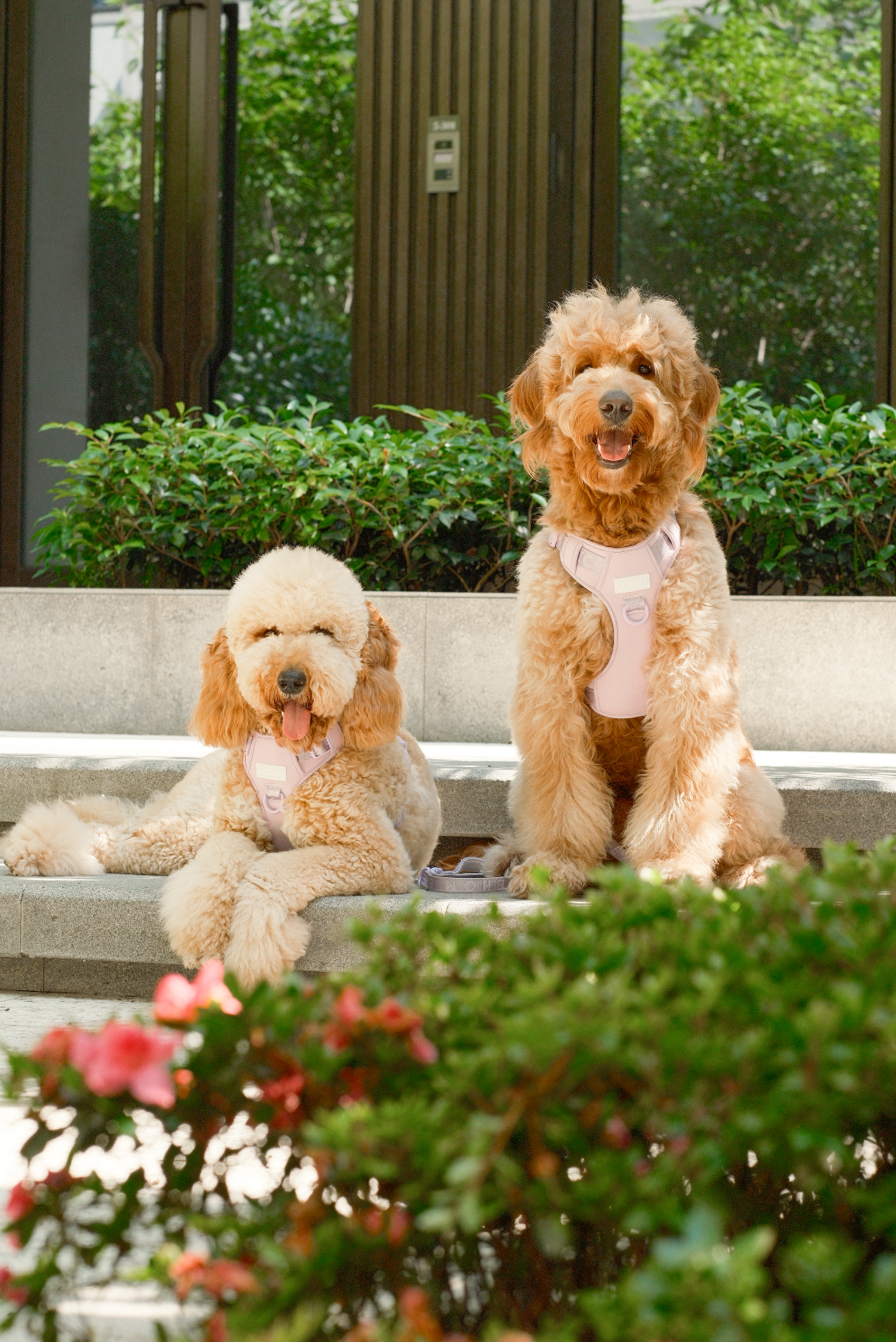 No Pull Active Pet Harness - Mint Purple | Breathable, Adjustable & Secure Control