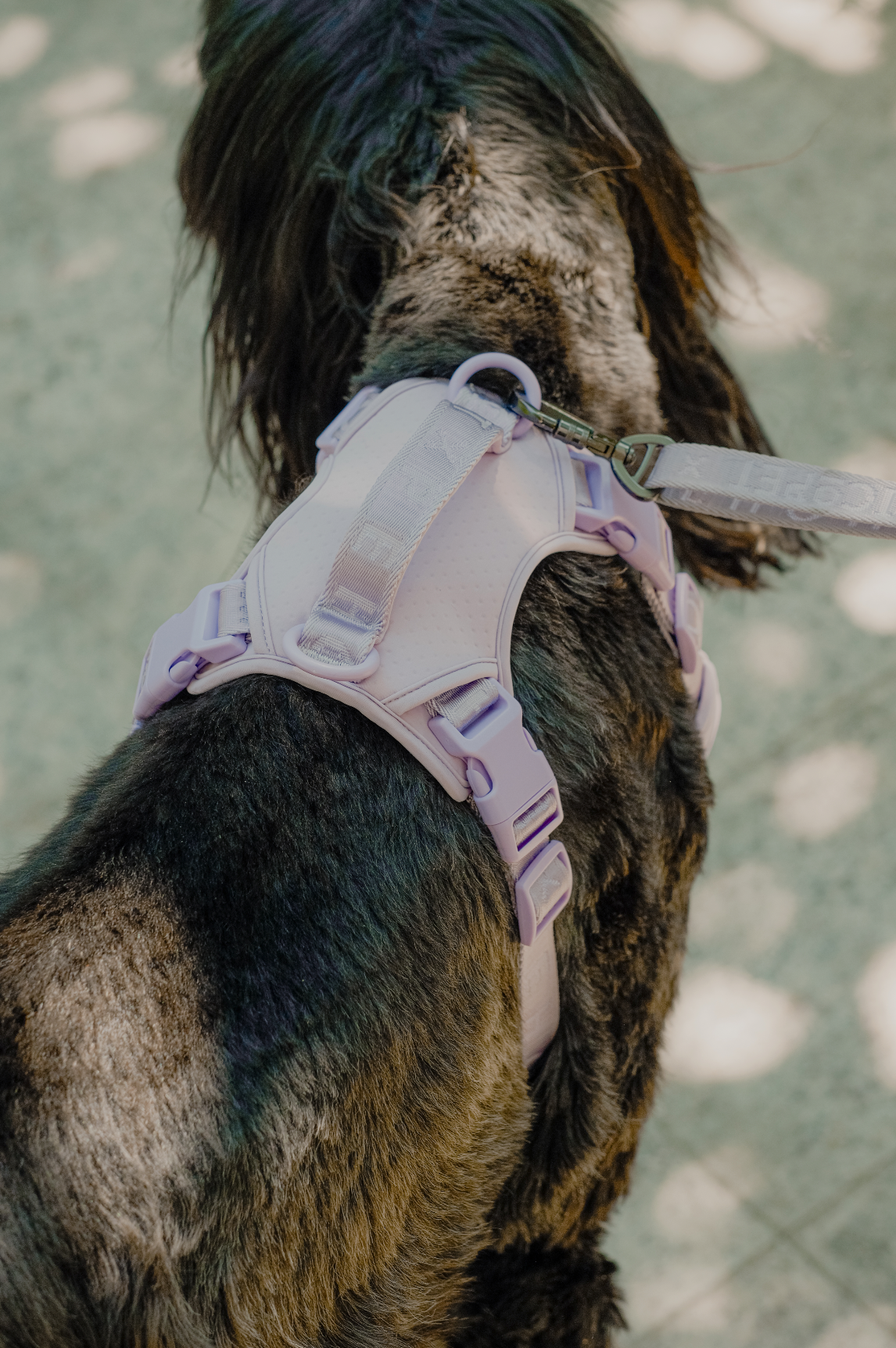 No Pull Active Pet Harness - Mint Purple | Breathable, Adjustable & Secure Control