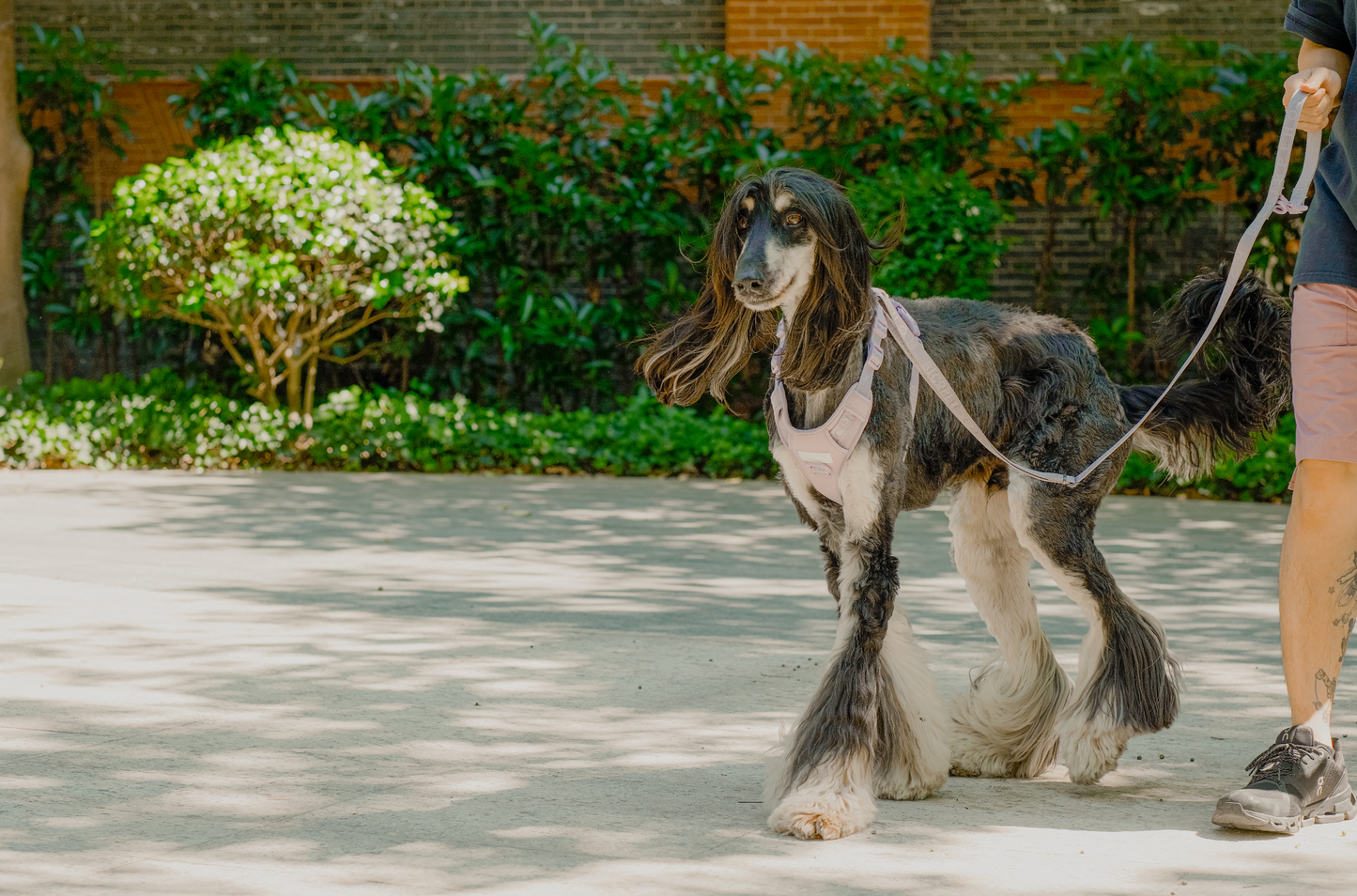 Padded Active Pet Leash – Mint Purple | Durable, Comfortable & Secure Dog Leash