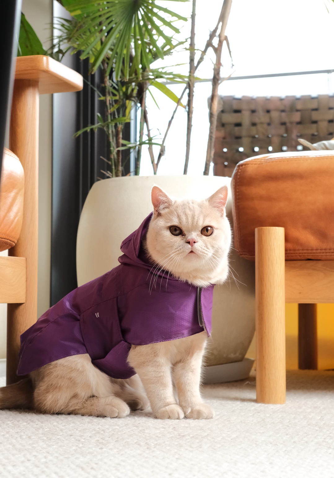 Capsule Raincoat – Purple | Lightweight Waterproof Rain Jacket for Dogs & Cats