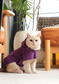 Capsule Raincoat – Purple | Lightweight Waterproof Rain Jacket for Dogs & Cats
