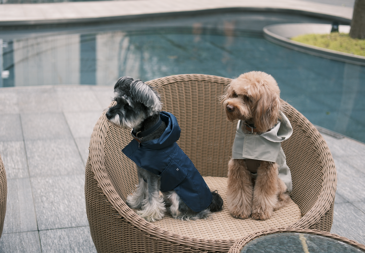 Capsule Raincoat – Blue | Lightweight Waterproof Pet Rain Coat for Dogs & Cats