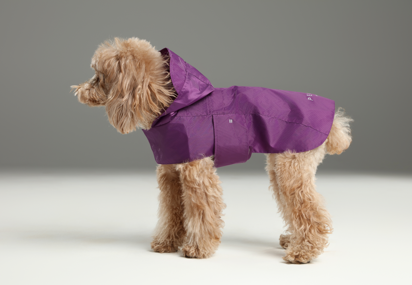 Capsule Raincoat – Purple | Lightweight Waterproof Rain Jacket for Dogs & Cats