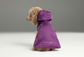 Capsule Raincoat – Purple | Lightweight Waterproof Rain Jacket for Dogs & Cats