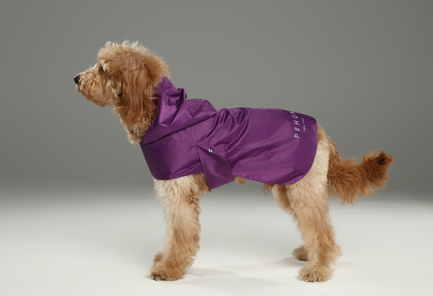 Capsule Raincoat – Purple | Lightweight Waterproof Rain Jacket for Dogs & Cats