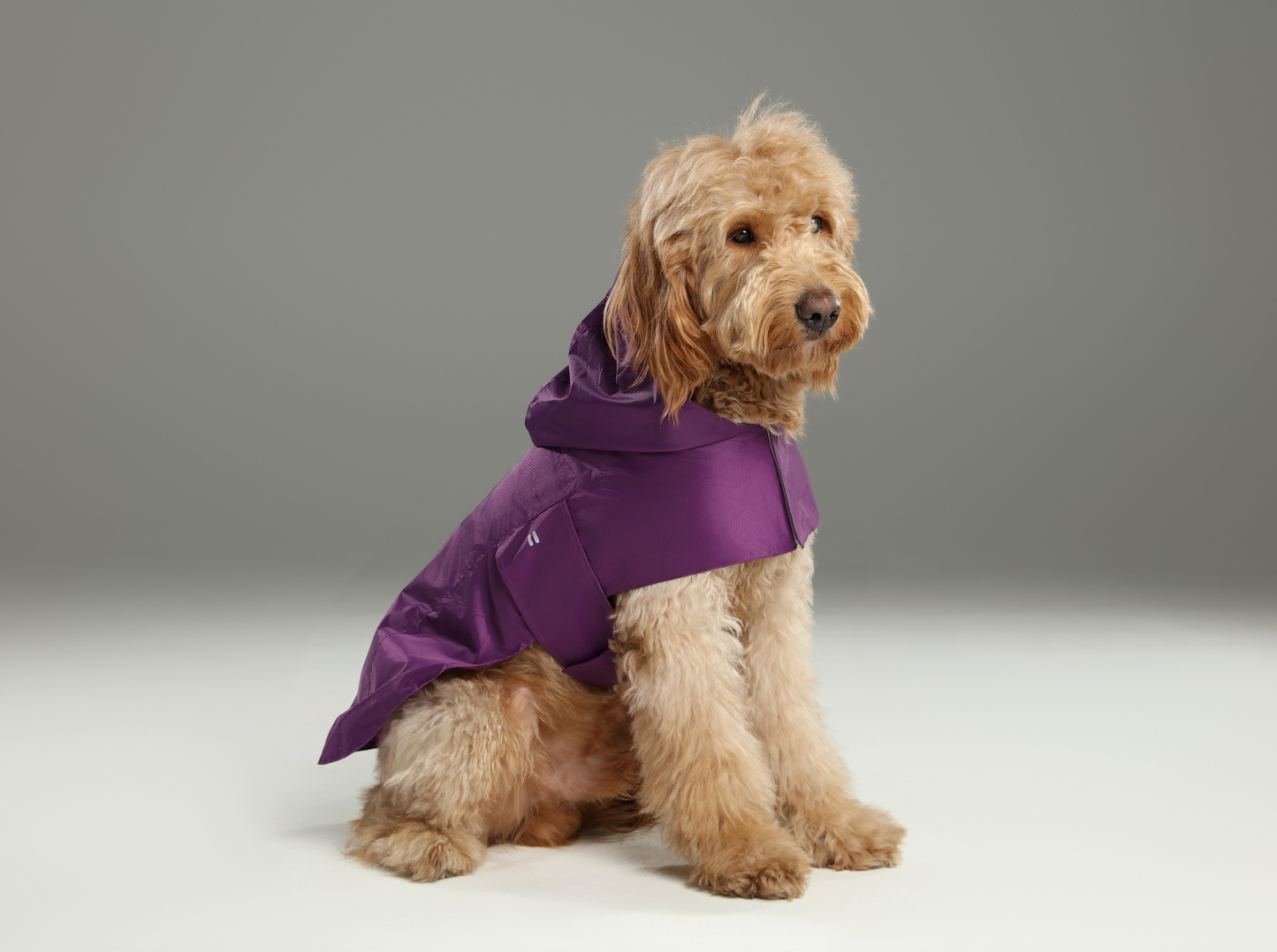 Capsule Raincoat – Purple | Lightweight Waterproof Rain Jacket for Dogs & Cats