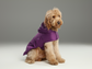 Capsule Raincoat – Purple | Lightweight Waterproof Rain Jacket for Dogs & Cats