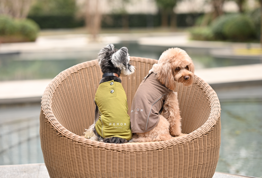 Chill Vest Shirt - Green | Lightweight Reflective Cooling Vest for Dogs & Cats