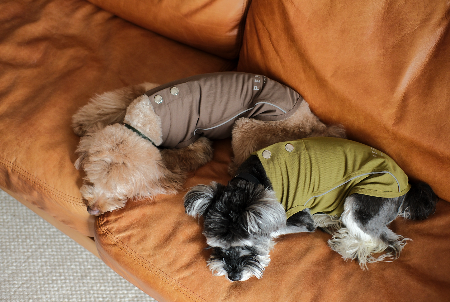 Chill Vest Shirt - Green | Lightweight Reflective Cooling Vest for Dogs & Cats