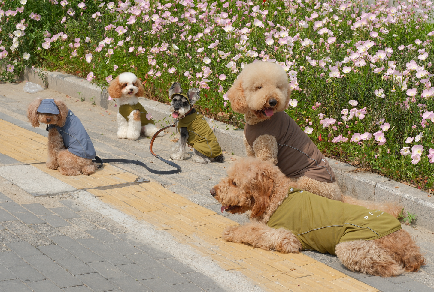 Chill Vest Shirt - Blue | Lightweight Reflective Cooling Vest for Dogs & Cats