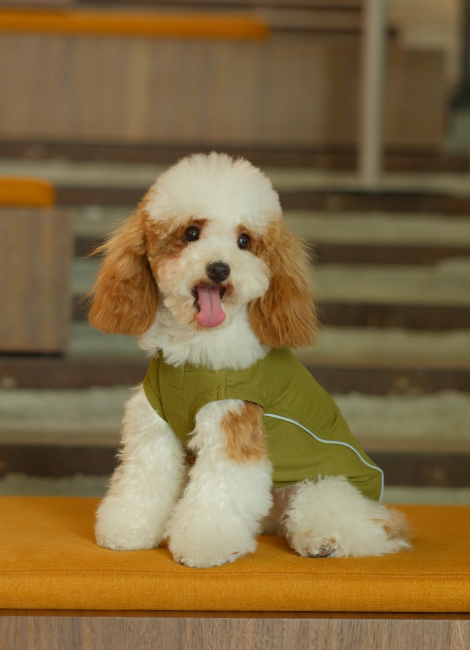 Chill Vest Shirt - Green | Lightweight Reflective Cooling Vest for Dogs & Cats