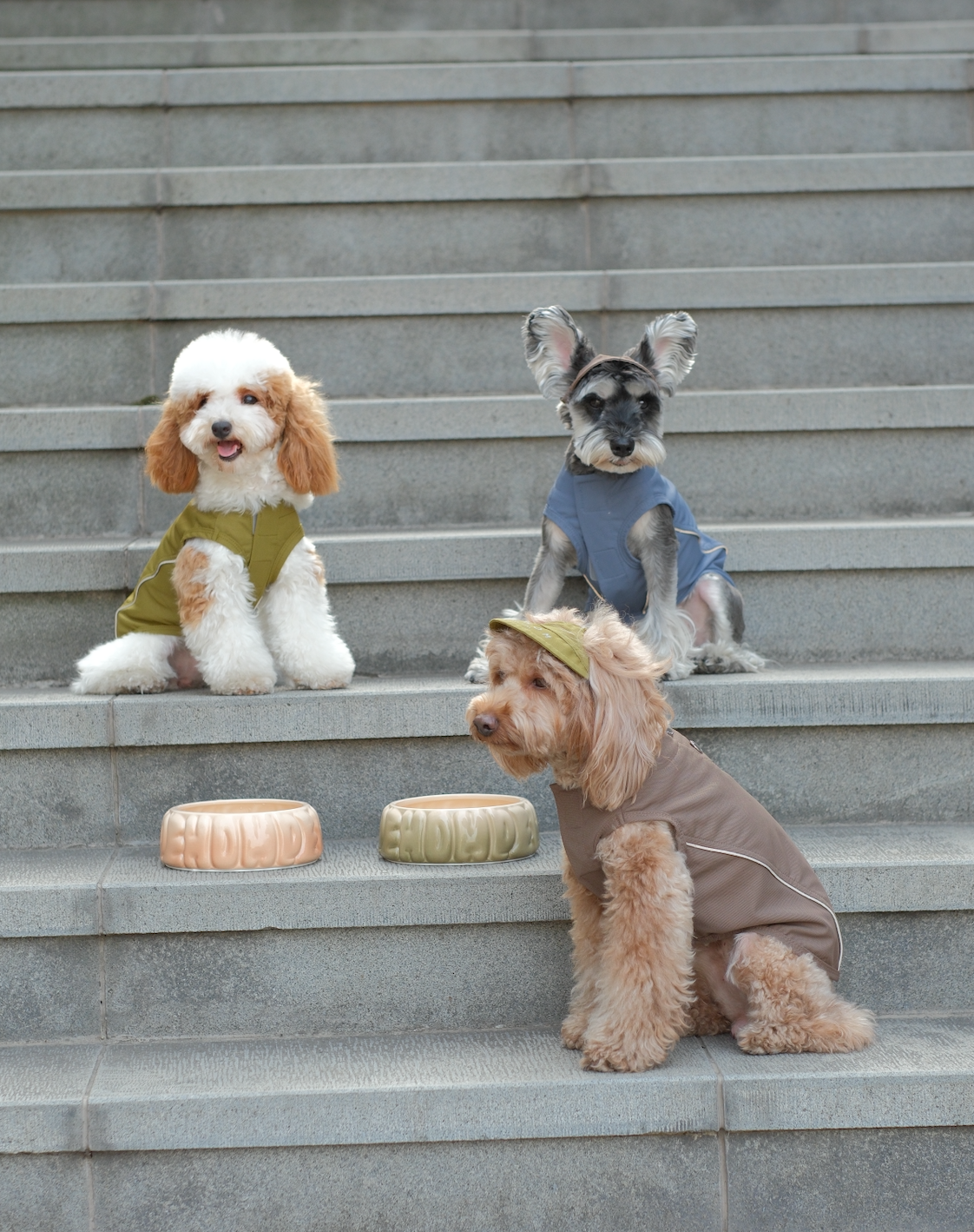 Chill Vest Shirt - Green | Lightweight Reflective Cooling Vest for Dogs & Cats