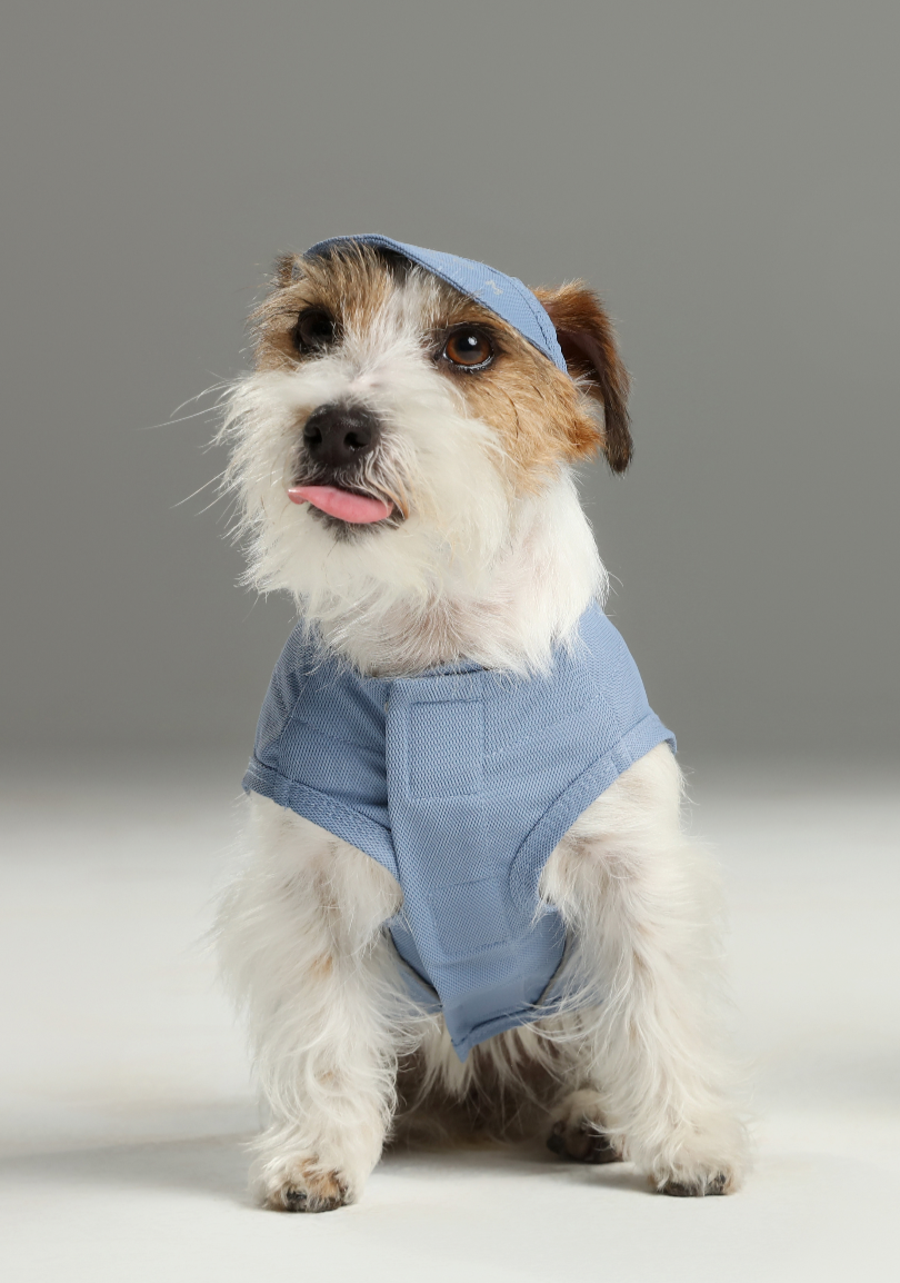 Chill Vest Shirt - Blue | Lightweight Reflective Cooling Vest for Dogs & Cats