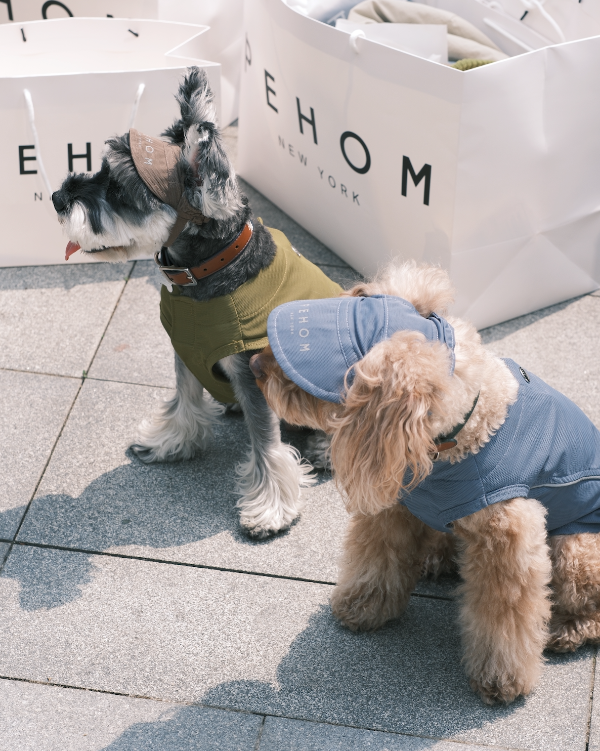Tennis Hat for Pets – Green | Adjustable, Soft & Reflective Pet Cap for Dogs & Cats
