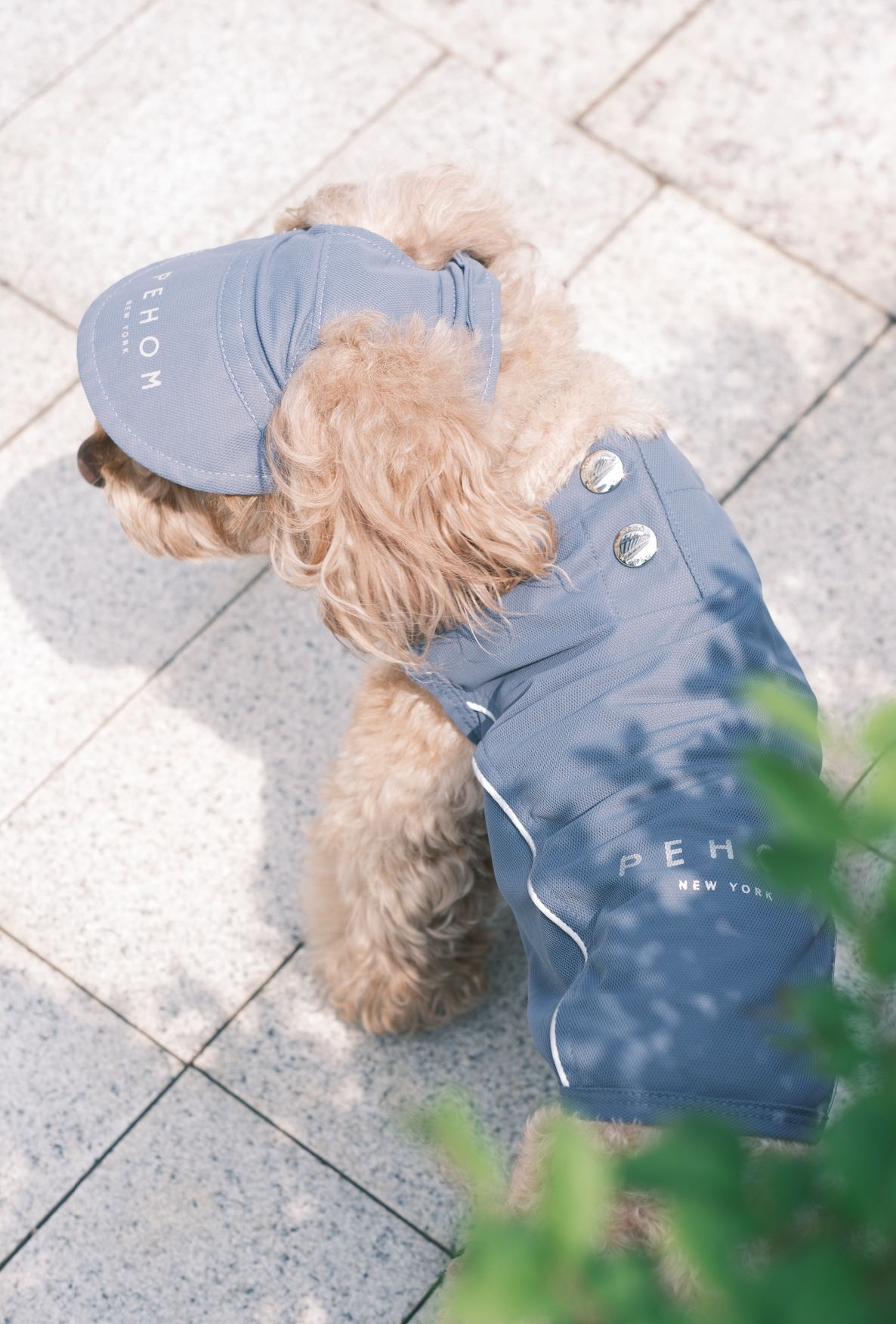 Tennis Hat for Pets – Green | Adjustable, Soft & Reflective Pet Cap for Dogs & Cats