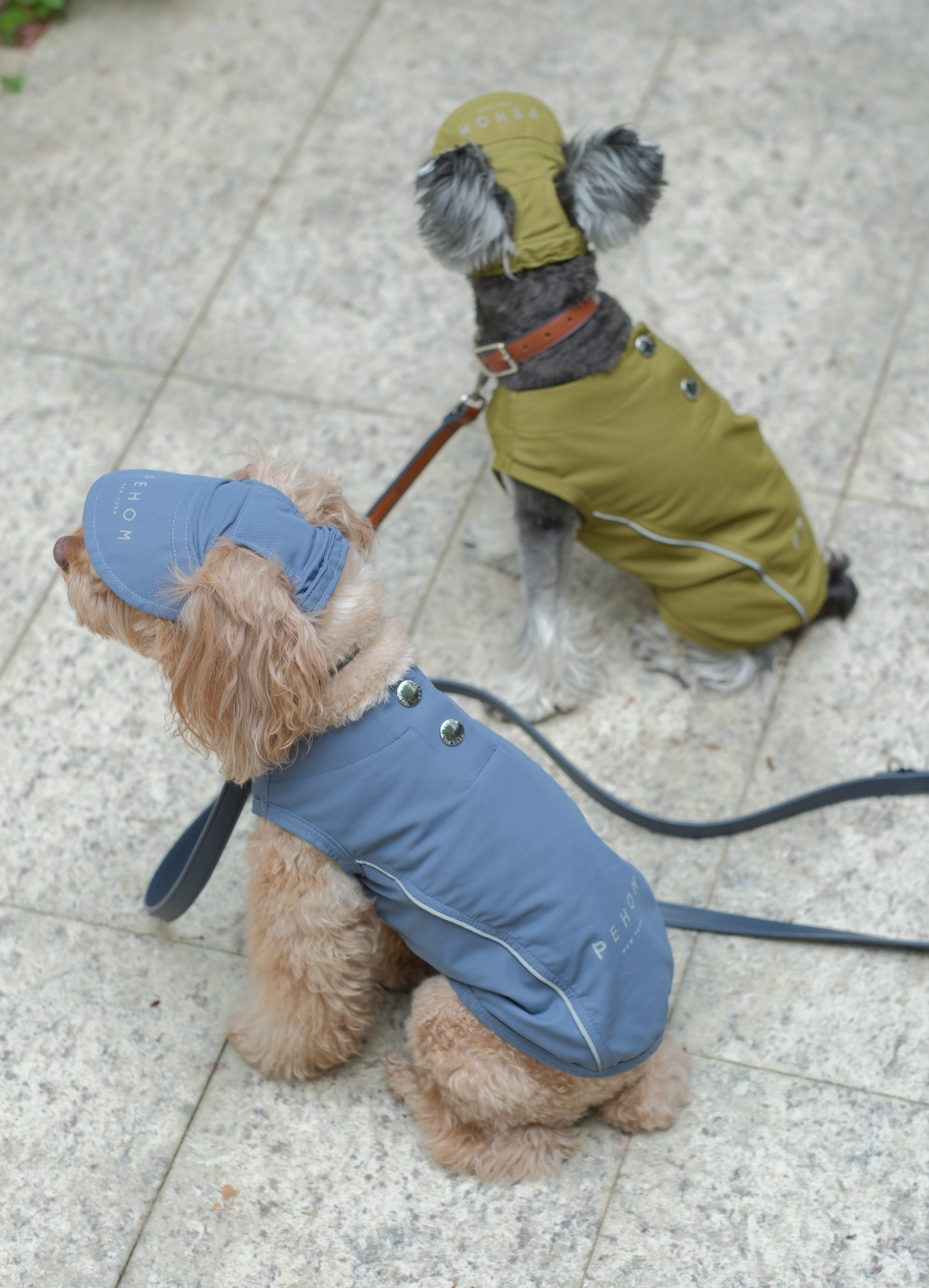 Tennis Hat for Pets – Green | Adjustable, Soft & Reflective Pet Cap for Dogs & Cats