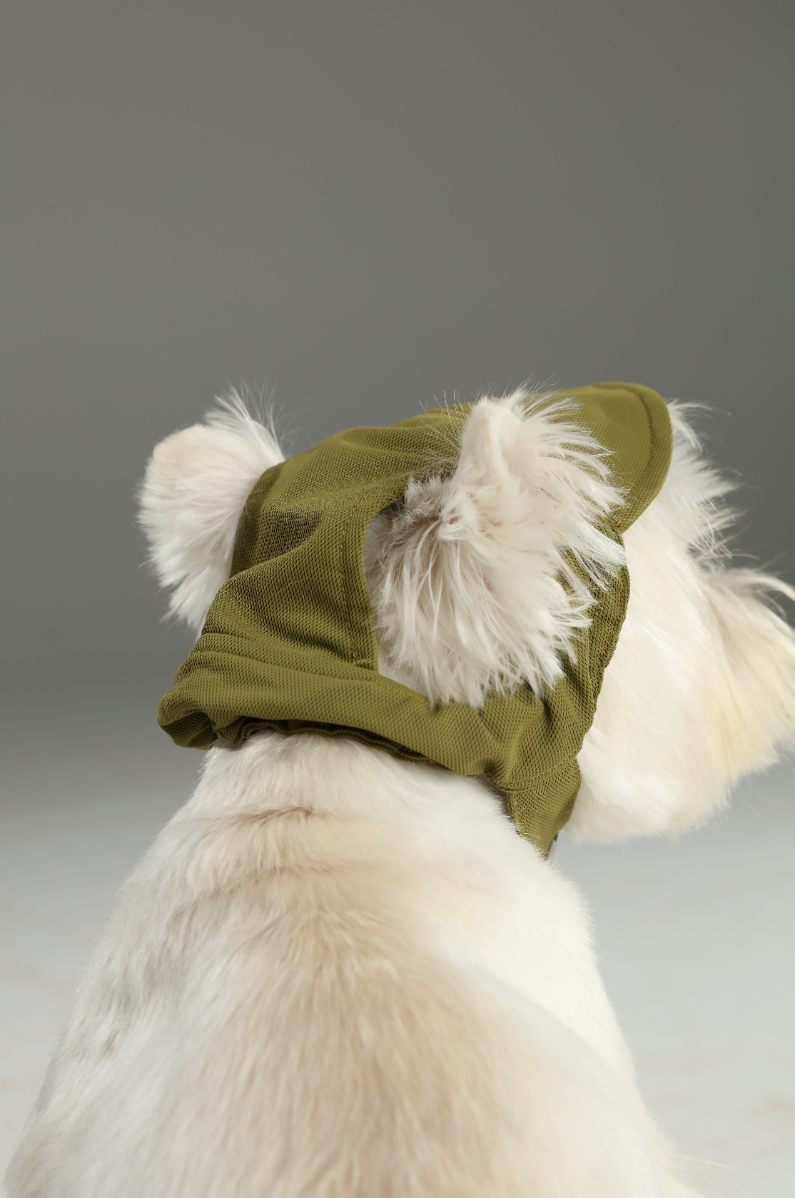 Tennis Hat for Pets – Green | Adjustable, Soft & Reflective Pet Cap for Dogs & Cats