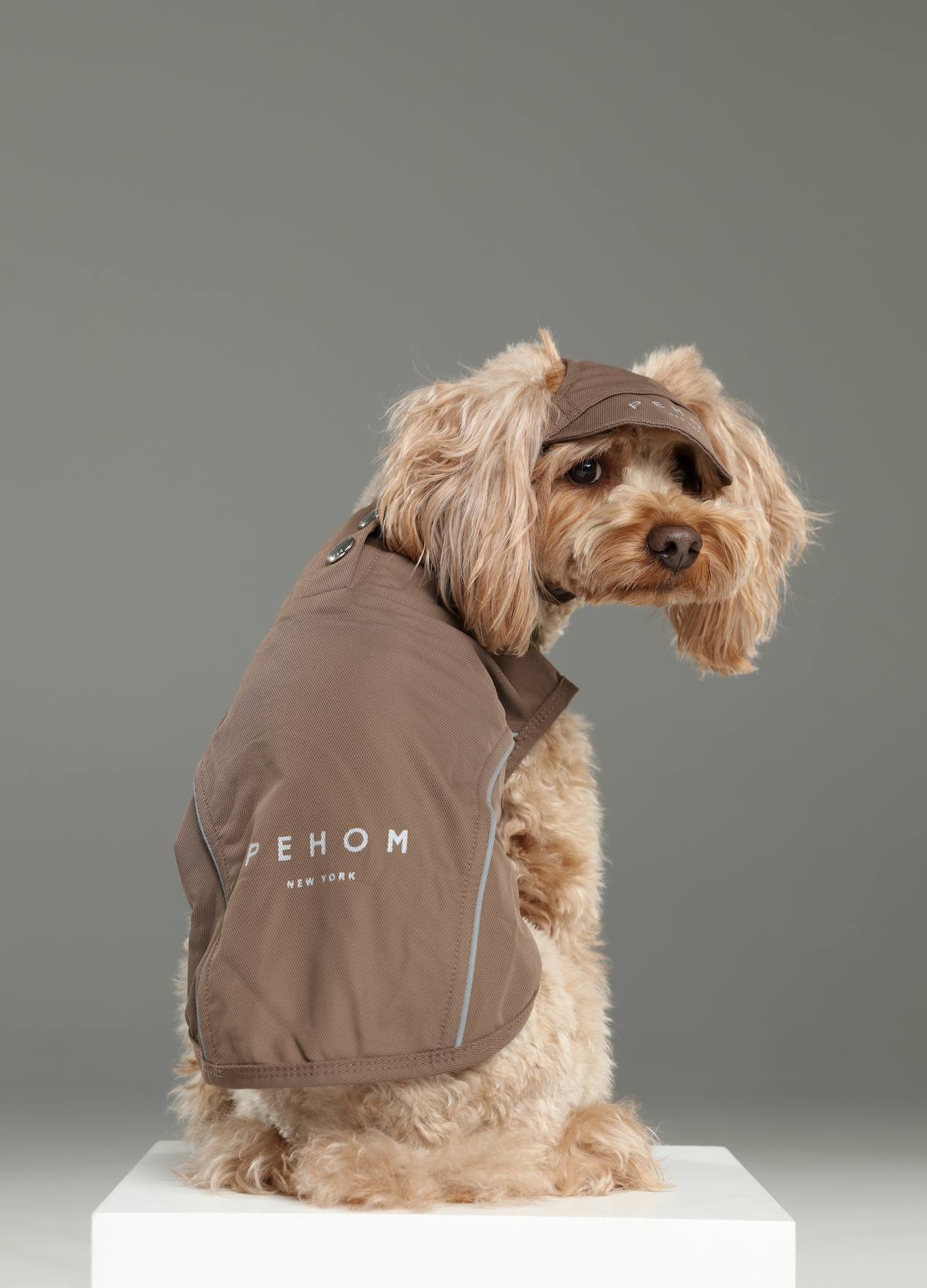 Tennis Hat for Pets – Mocha | Adjustable, Soft & Reflective Pet Cap