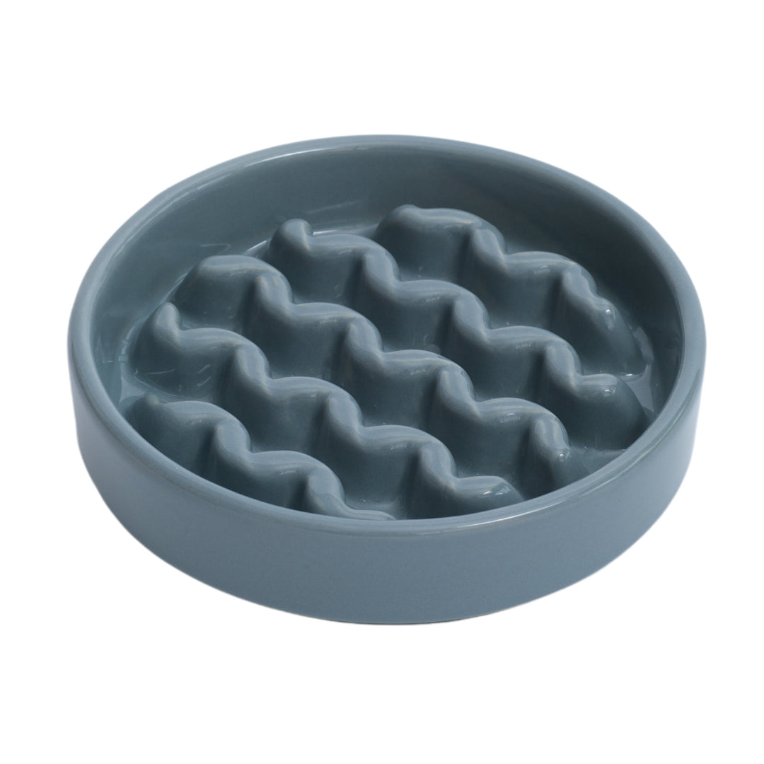 Blue textured pet bowl on a white background