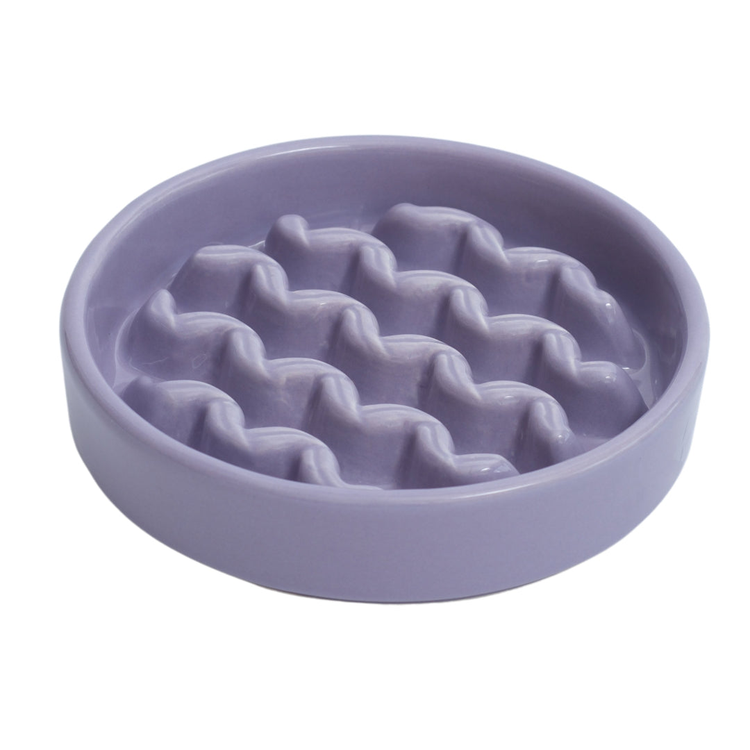 Purple textured pet bowl on a white background