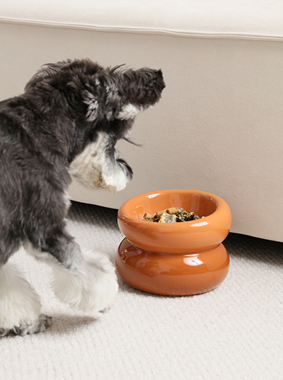 Dog interacting with an orange elevated food bowl on a carpeted floor.