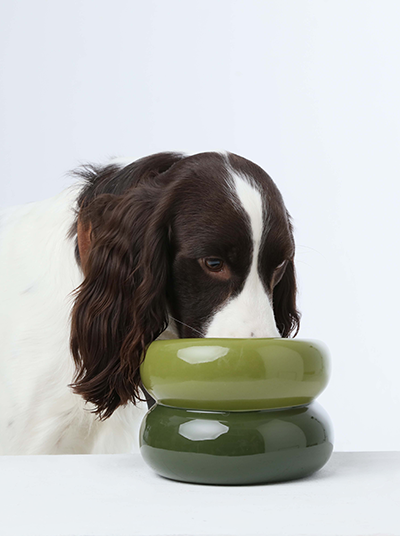 Dog eating from a green ceramic bowl on a white background