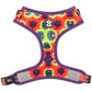 Colorful tie-dye dog harness with purple border on a white background