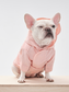 Dog wearing a pink hoodie on a light wooden floor with a white background