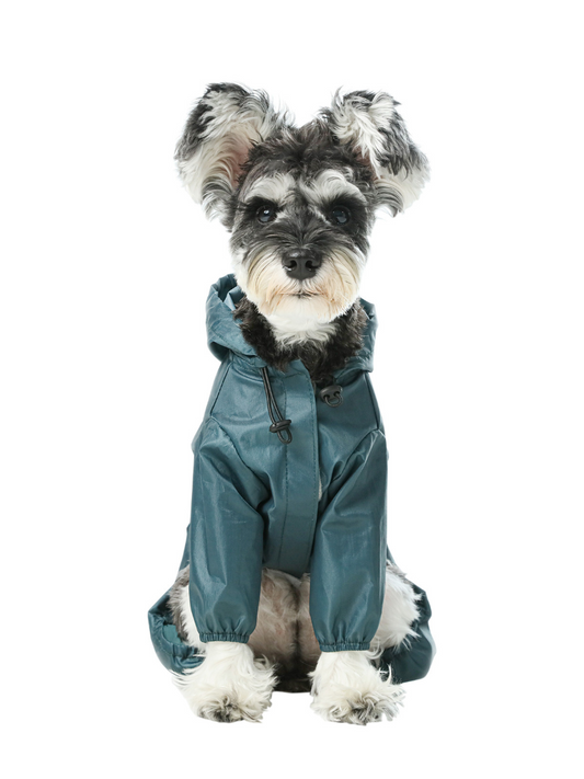Dog wearing a teal raincoat on a white background