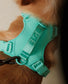 No Pull Active  Pet Harness - Mint Green | Adjustable, Breathable & Secure Comfort Harness