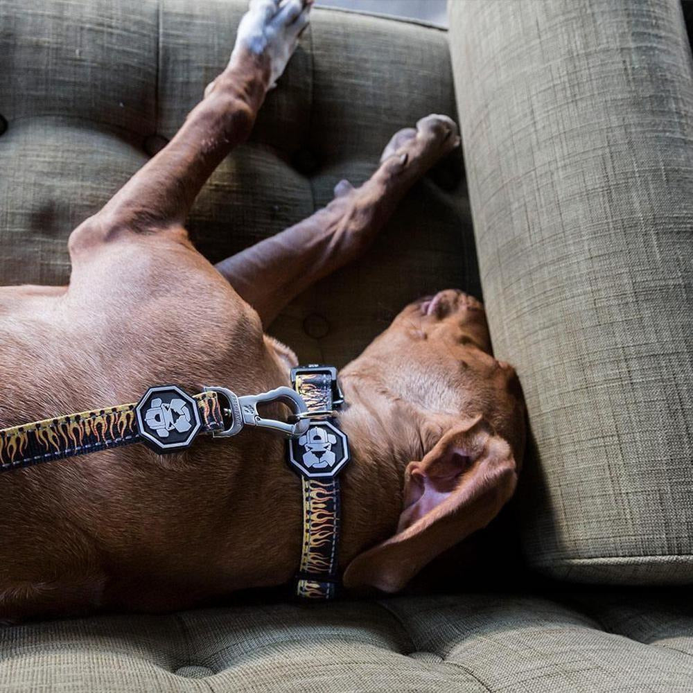 Flame Thrower Dog Collar | Padded, Adjustable & Secure Premium Collar