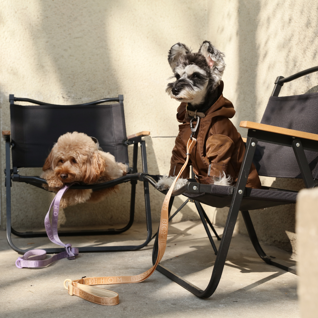 Tribeca Adjustable Velcro Dog Raincoat – Choco | Waterproof, Easy-Fit Pet Jacket