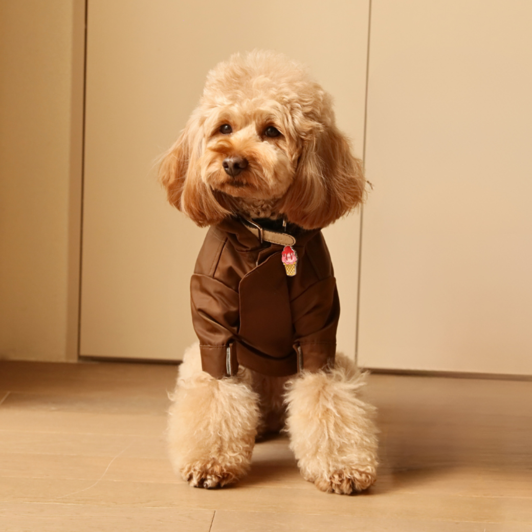 Tribeca Adjustable Velcro Dog Raincoat – Choco | Waterproof, Easy-Fit Pet Jacket