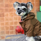 Tribeca Adjustable Velcro Dog Raincoat – Choco | Waterproof, Easy-Fit Pet Jacket