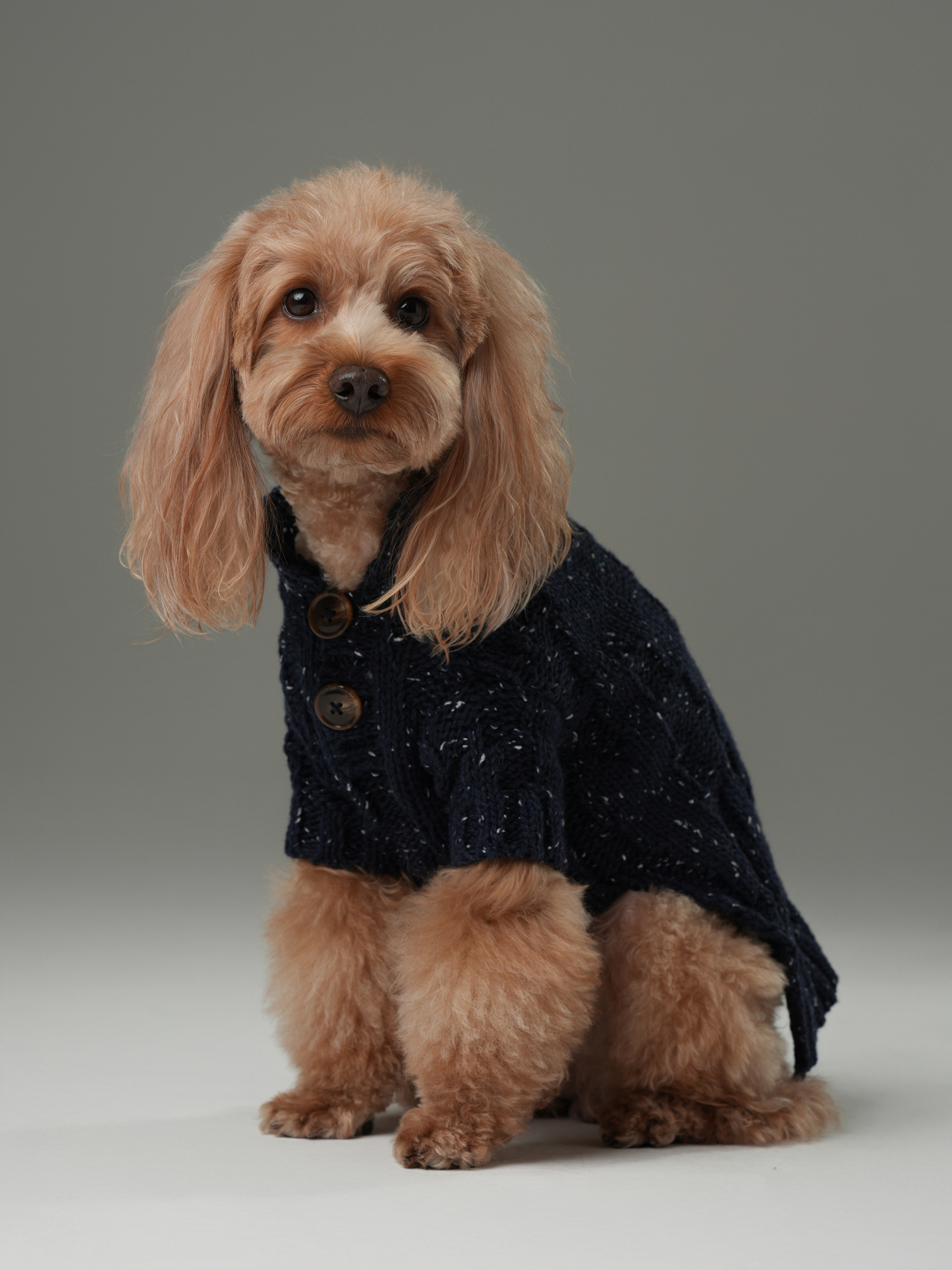 GLACIER Pet Sweater – Navy | Warm High-Neck Knit Dog Sweater with Vintage Buttons
