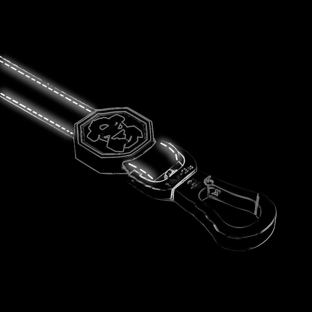 G-Stripe Luxury Dog Leash | Streetwear-Inspired, Padded Handle, Reflective & Heavy-Duty