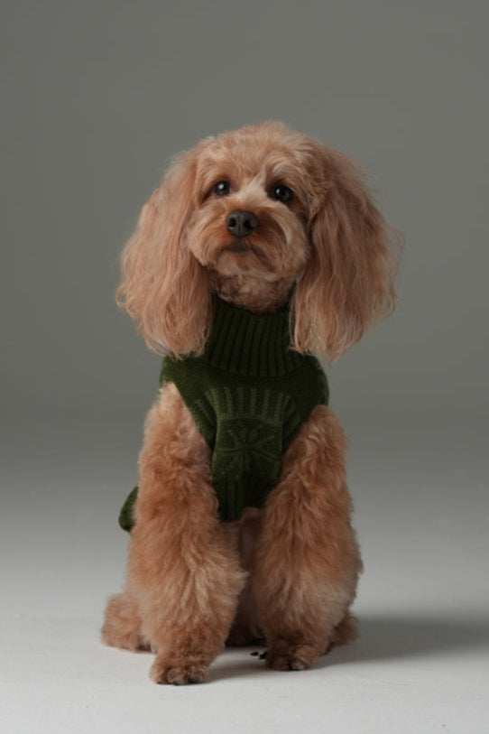 Pretzel Pet Sweater – Olive Green | Cozy Knit Dog Sweater for Warmth & Everyday Style