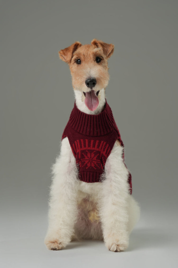 Pretzel Pet Sweater – Burgundy Red | Cozy Knit Winter Sweater for Dogs & Cats