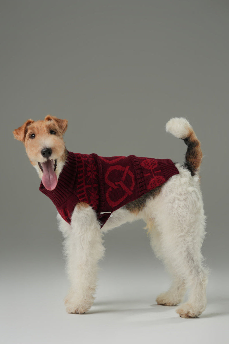 Pretzel Pet Sweater – Burgundy Red | Cozy Knit Winter Sweater for Dogs & Cats