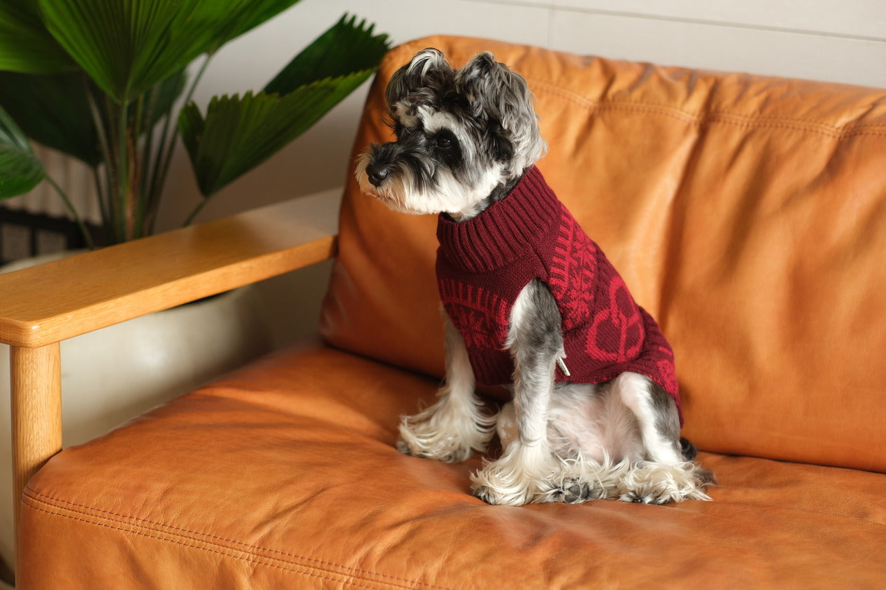 Pretzel Pet Sweater – Burgundy Red | Cozy Knit Winter Sweater for Dogs & Cats