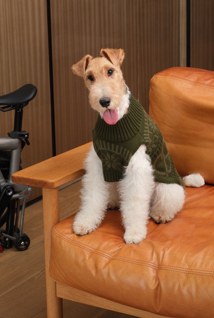 Pretzel Pet Sweater – Olive Green | Cozy Knit Dog Sweater for Warmth & Everyday Style