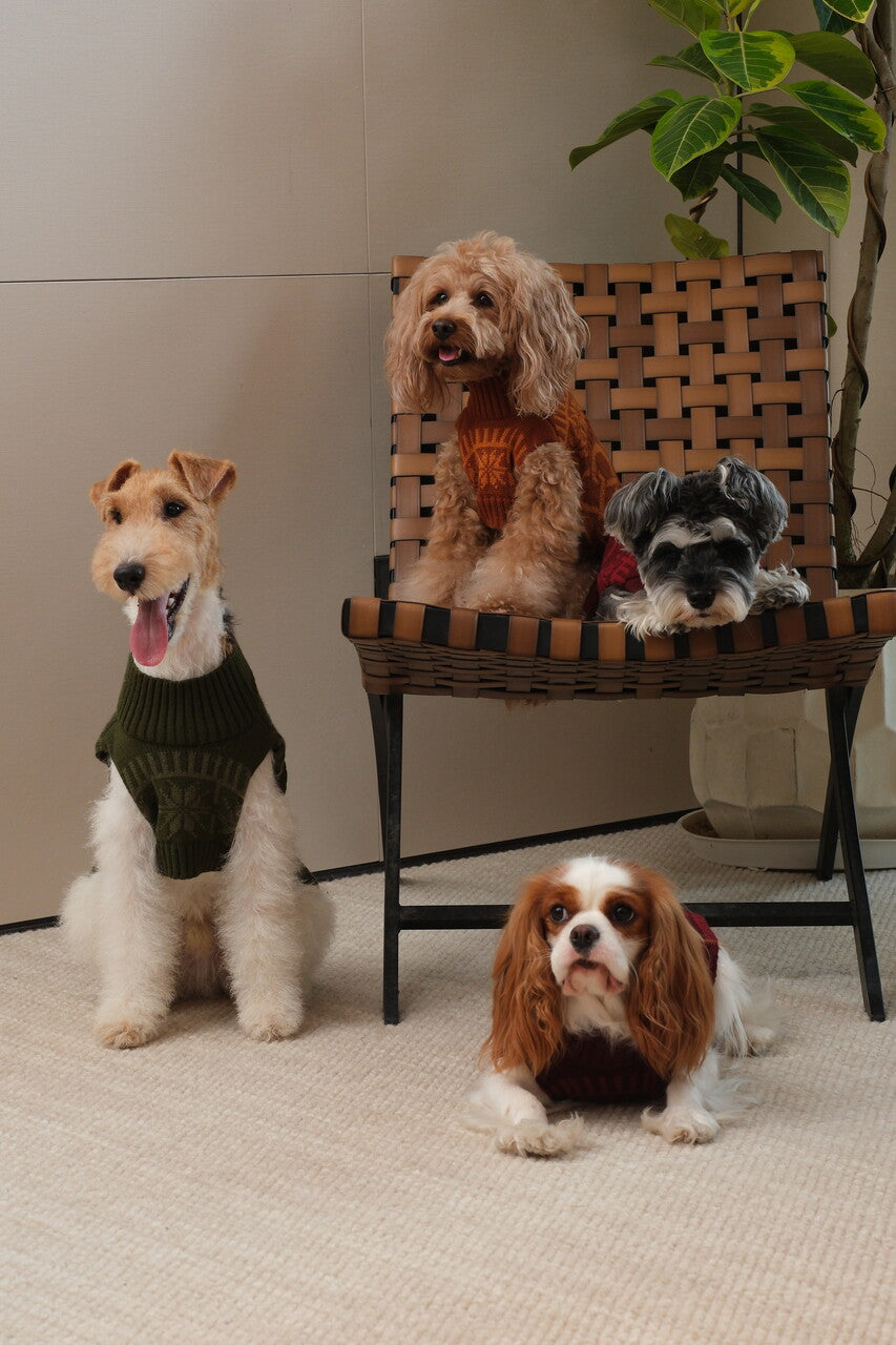 Pretzel Pet Sweater – Burgundy Red | Cozy Knit Winter Sweater for Dogs & Cats