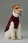 Pretzel Pet Sweater – Burgundy Red | Cozy Knit Winter Sweater for Dogs & Cats