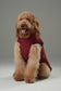 Reversible Dog Vest Jacket – Windproof & Water-Repellent Outdoor Coat (Red Brown)