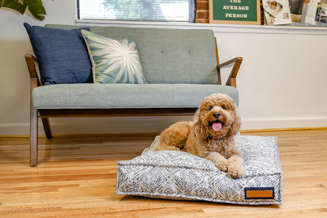 Dog lying on a patterned dog bed in a living room with a couch and pillows.